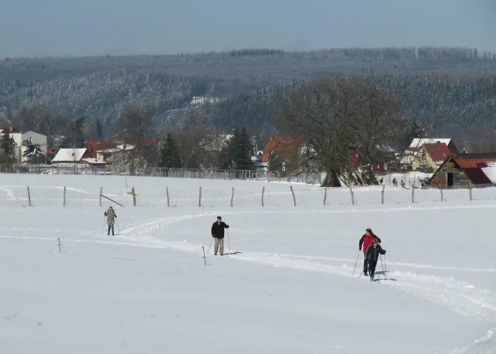 Bequeme Anreise zum CAREA Harz Hotel Allrode