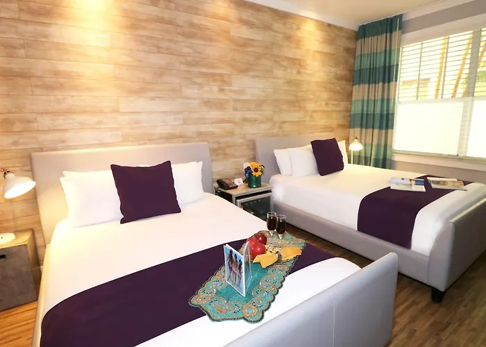 Miami Beach Hotels On The Beach