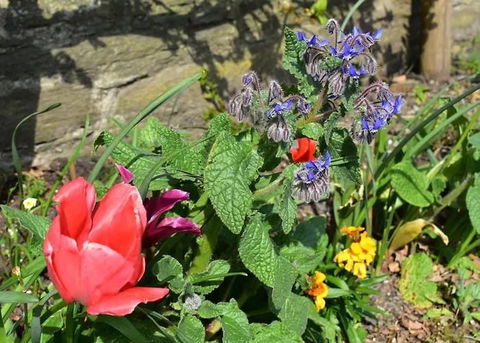 Best Hotels in Cardigan